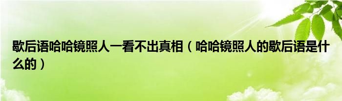 歇后语哈哈镜照人一看不出真相（哈哈镜照人的歇后语是什么的）