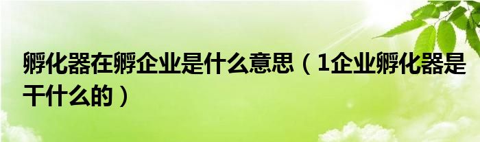 孵化器在孵企业是什么意思（1企业孵化器是干什么的）