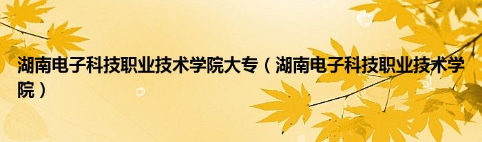 湖南电子科技职业技术学院大专（湖南电子科技职业技术学院）