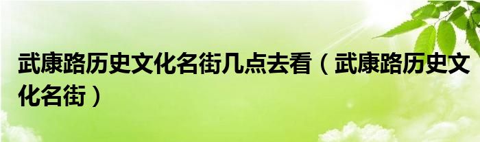 武康路历史文化名街几点去看（武康路历史文化名街）