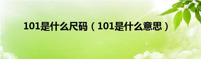 101是什么尺码（101是什么意思）