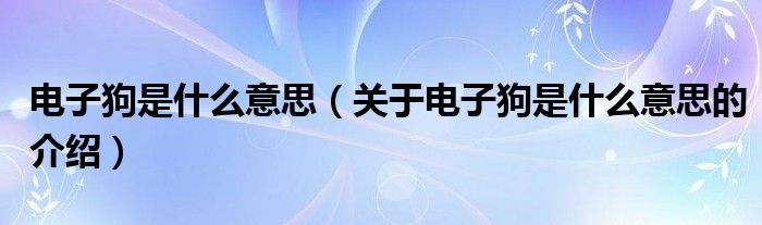 电子狗是什么意思（关于电子狗是什么意思的介绍）