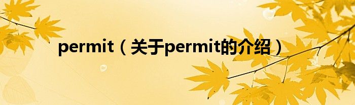 permit（关于permit的介绍）