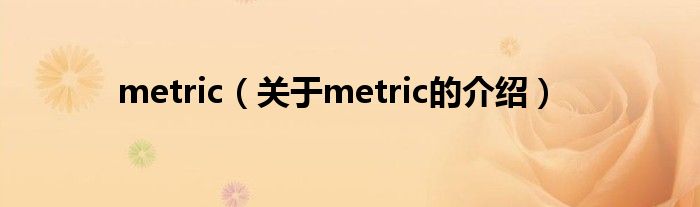 metric（关于metric的介绍）