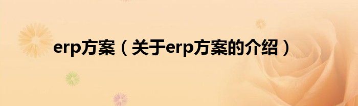 erp方案（关于erp方案的介绍）