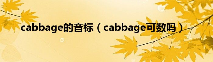 cabbage的音标（cabbage可数吗）