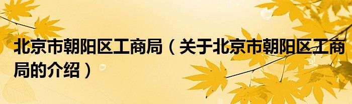 北京市朝阳区工商局（关于北京市朝阳区工商局的介绍）