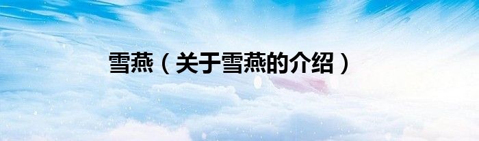 雪燕（关于雪燕的介绍）