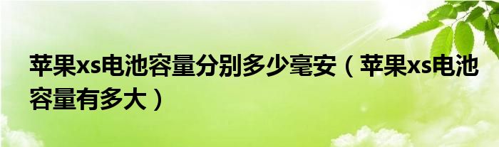 苹果xs电池容量分别多少毫安（苹果xs电池容量有多大）