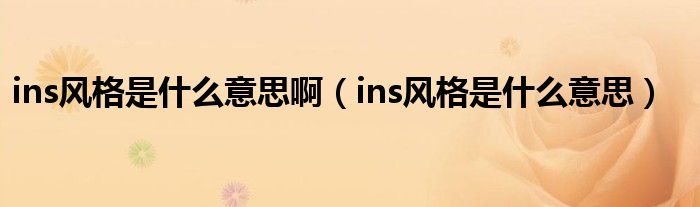 ins风格是什么意思啊（ins风格是什么意思）