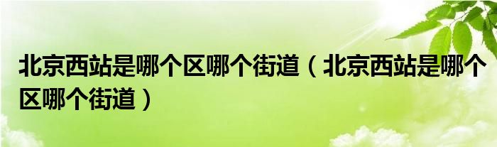 北京西站是哪个区哪个街道（北京西站是哪个区哪个街道）