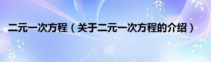 二元一次方程（关于二元一次方程的介绍）