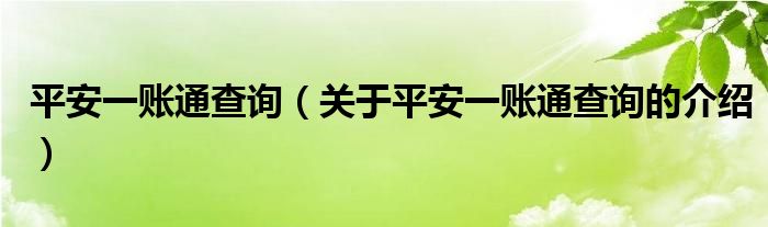 平安一账通查询（关于平安一账通查询的介绍）