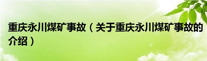 重庆永川煤矿事故（关于重庆永川煤矿事故的介绍）