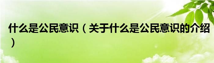 什么是公民意识（关于什么是公民意识的介绍）