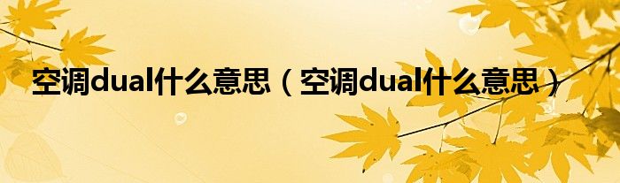 空调dual什么意思（空调dual什么意思）