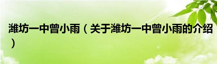 潍坊一中曾小雨（关于潍坊一中曾小雨的介绍）