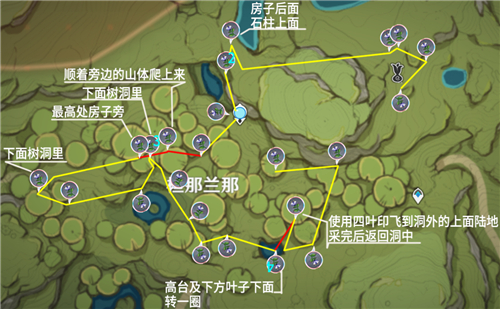 原神帕蒂沙兰位置分布图 妮露突破材料采集地点