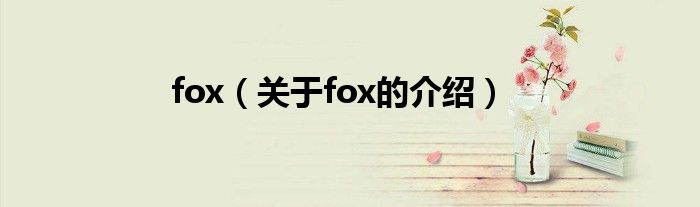 fox（关于fox的介绍）