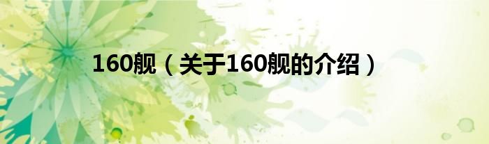 160舰（关于160舰的介绍）