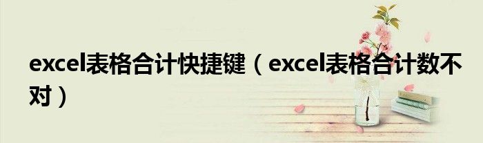 excel表格合计快捷键（excel表格合计数不对）