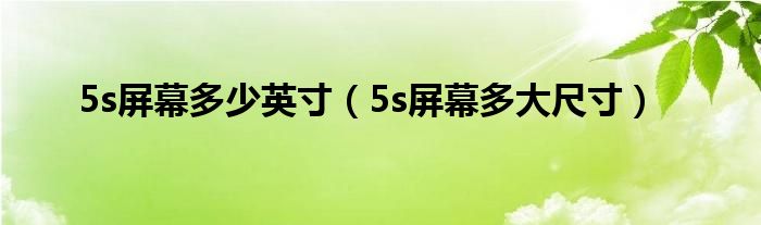 5s屏幕多少英寸（5s屏幕多大尺寸）