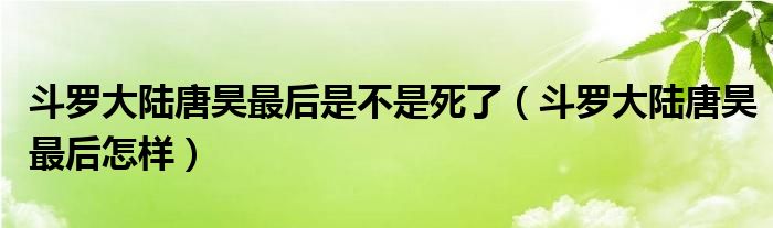 斗罗大陆唐昊最后是不是死了（斗罗大陆唐昊最后怎样）