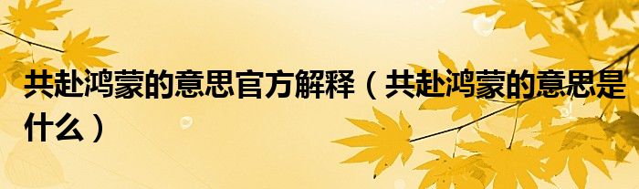 共赴鸿蒙的意思官方解释（共赴鸿蒙的意思是什么）