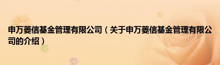 申万菱信基金管理有限公司（关于申万菱信基金管理有限公司的介绍）