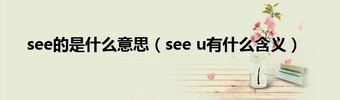 see的是什么意思（see u有什么含义）