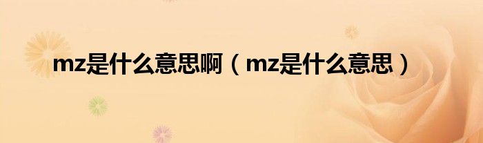 mz是什么意思啊（mz是什么意思）