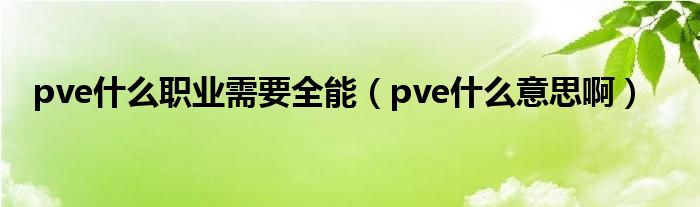 pve什么职业需要全能（pve什么意思啊）