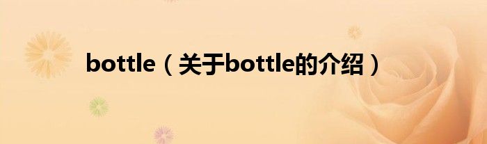 bottle（关于bottle的介绍）