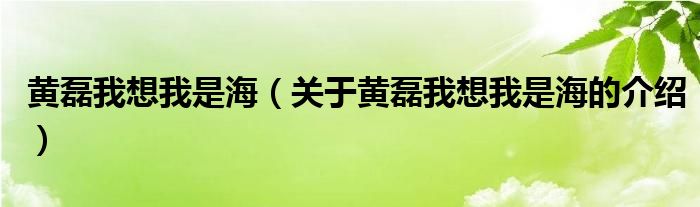 黄磊我想我是海（关于黄磊我想我是海的介绍）