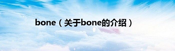 bone（关于bone的介绍）