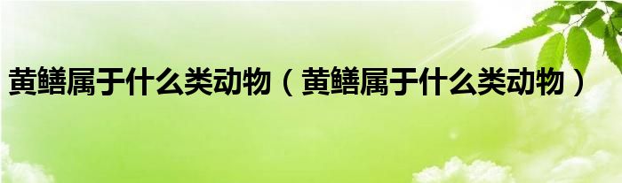 黄鳝属于什么类动物（黄鳝属于什么类动物）