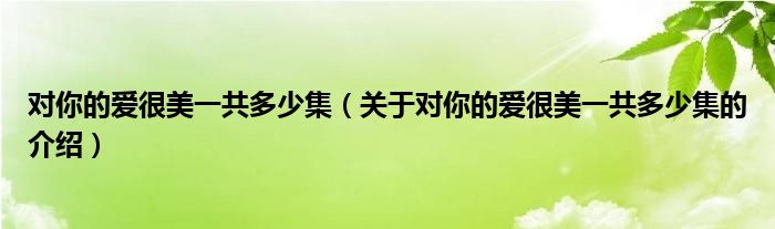 对你的爱很美一共多少集（关于对你的爱很美一共多少集的介绍）