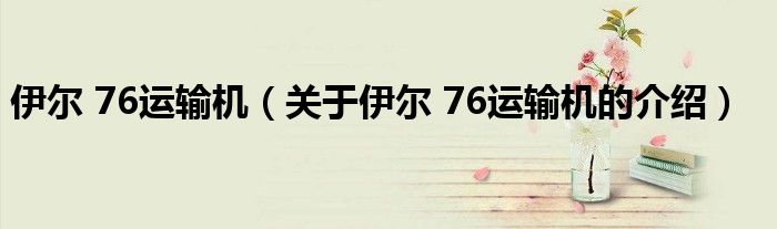 伊尔 76运输机（关于伊尔 76运输机的介绍）