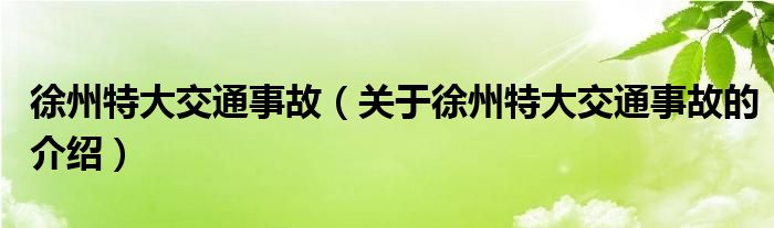 徐州特大交通事故（关于徐州特大交通事故的介绍）