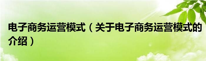 电子商务运营模式（关于电子商务运营模式的介绍）