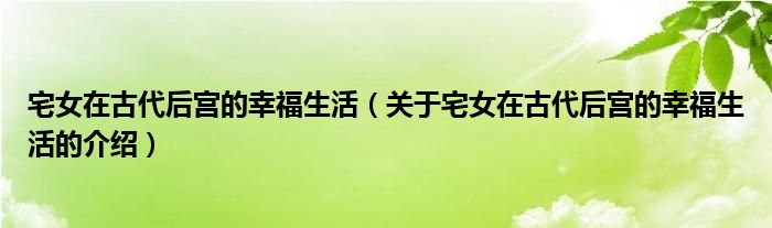 宅女在古代后宫的幸福生活（关于宅女在古代后宫的幸福生活的介绍）