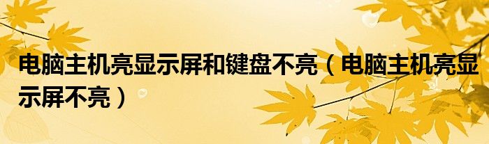 电脑主机亮显示屏和键盘不亮（电脑主机亮显示屏不亮）