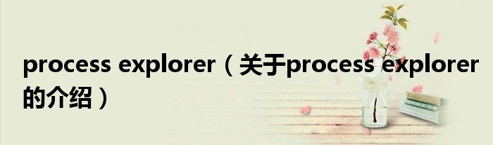 process explorer（关于process explorer的介绍）