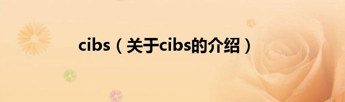 cibs（关于cibs的介绍）