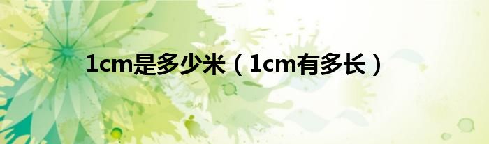 1cm是多少米（1cm有多长）