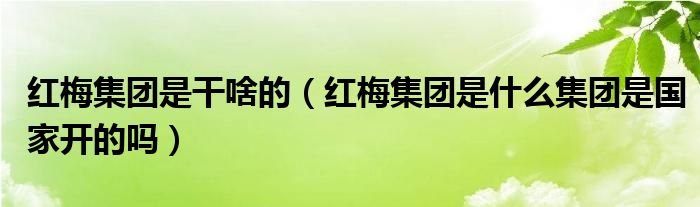 红梅集团是干啥的（红梅集团是什么集团是国家开的吗）