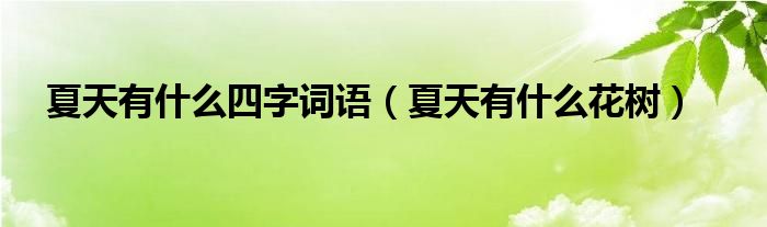 夏天有什么四字词语（夏天有什么花树）