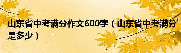 山东省中考满分作文600字（山东省中考满分是多少）