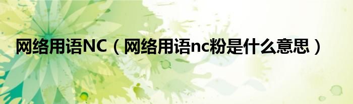 网络用语NC（网络用语nc粉是什么意思）