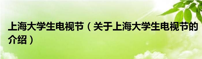 上海大学生电视节（关于上海大学生电视节的介绍）